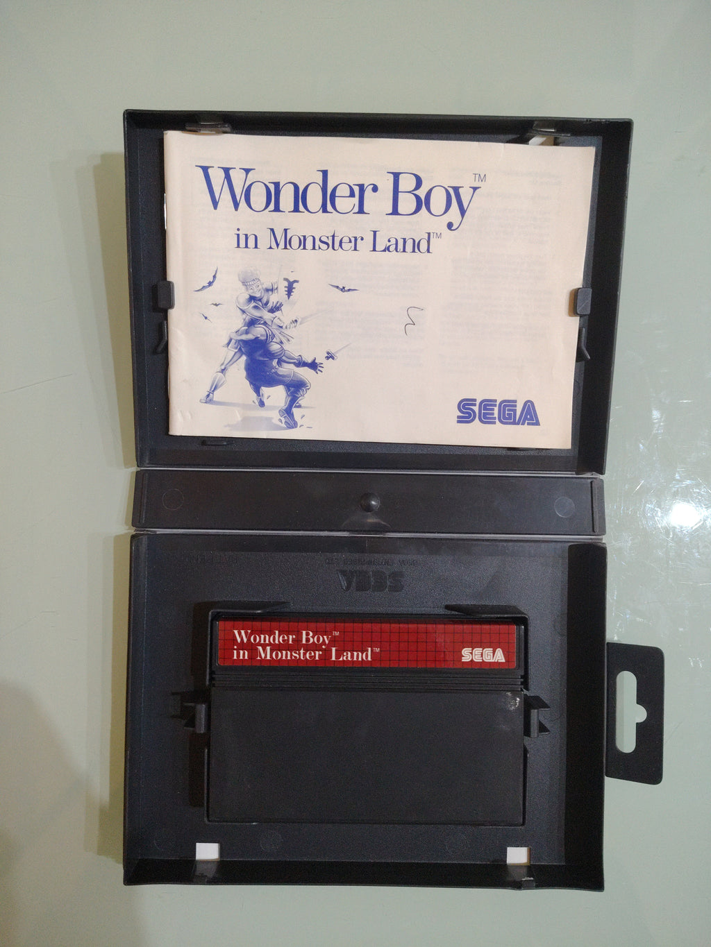 SEGA MASTER SYSTEM WONDER BOY IN MONSTER LAND ( raro)