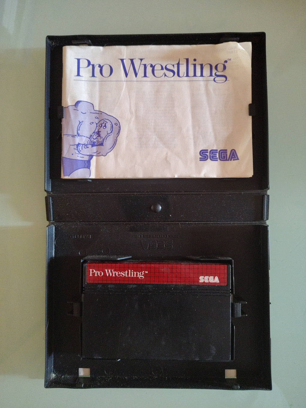 PRO WRESTLING