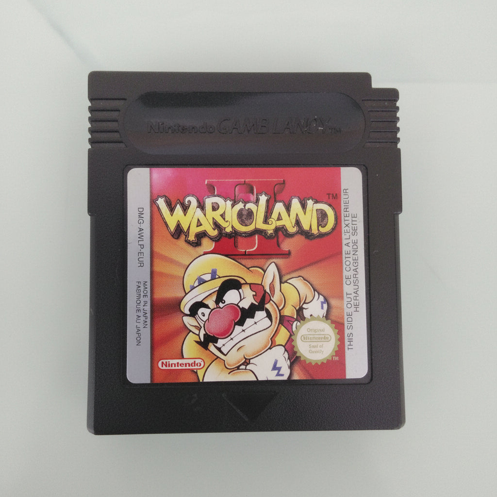 WARIOLAND