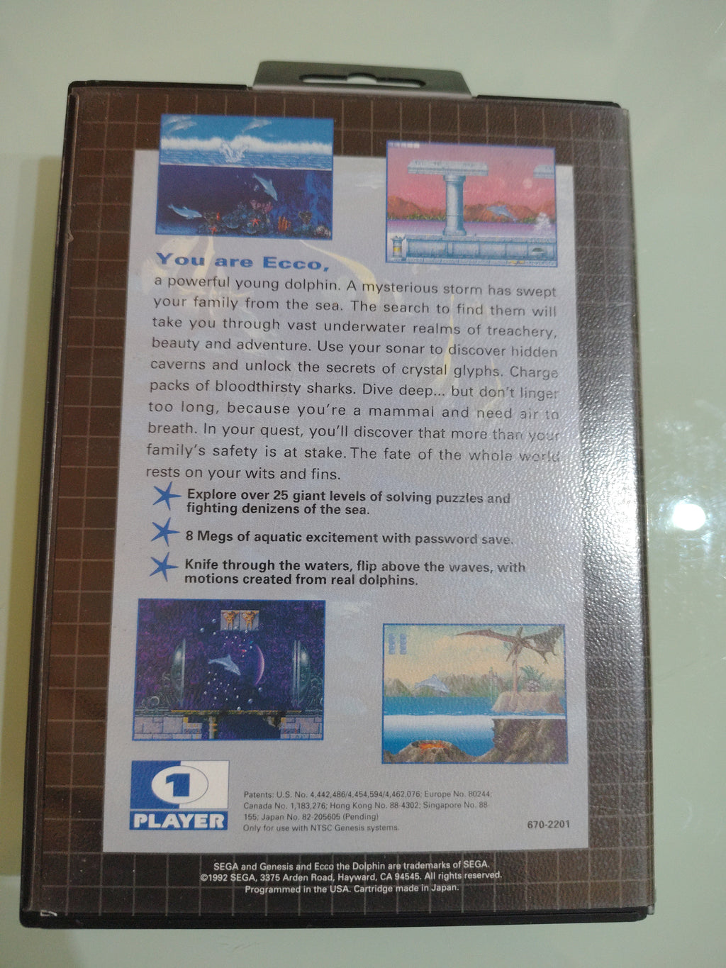 ecco the DOLPHIN