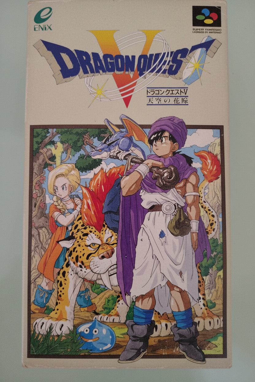 DRAGON QUEST V