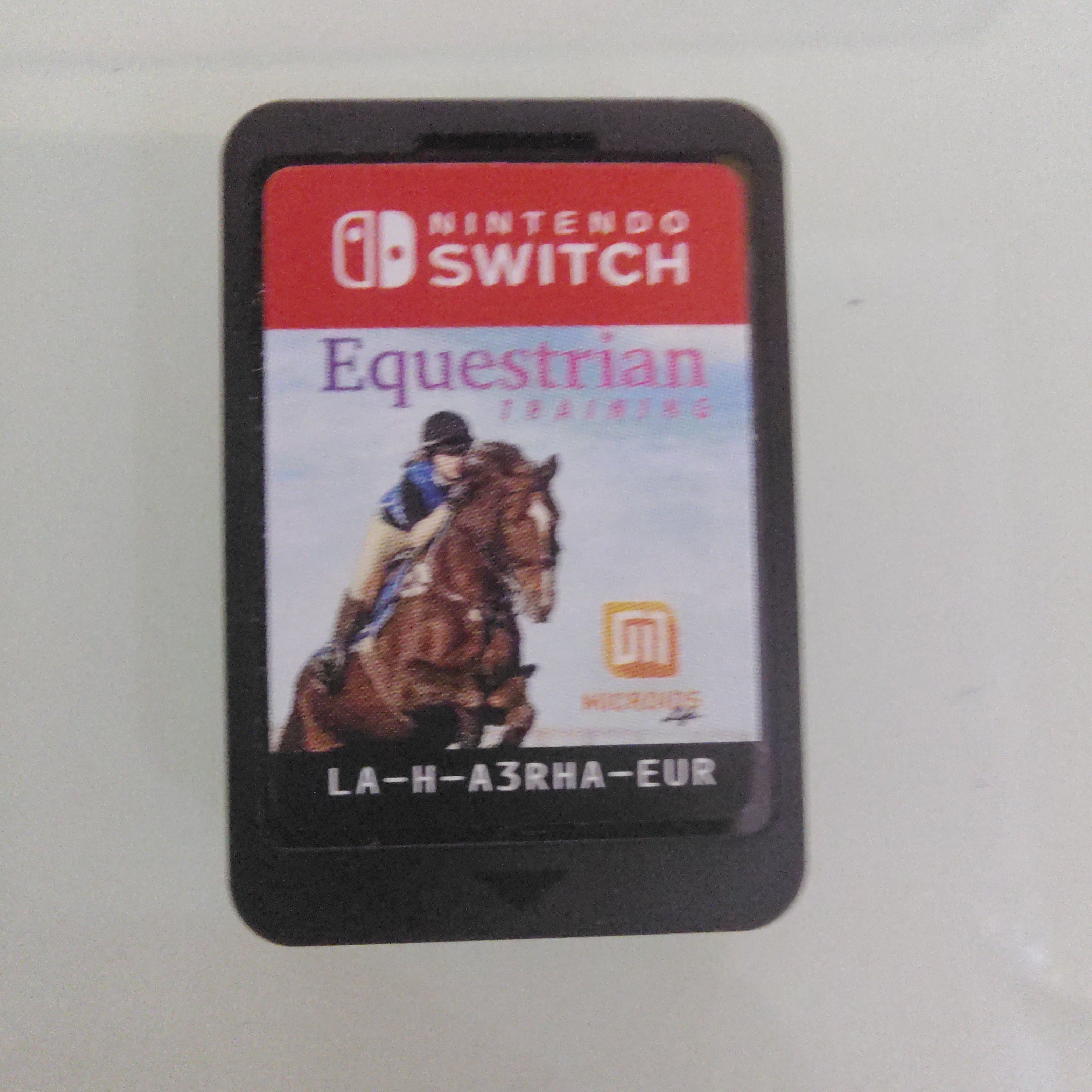 Allenamento Equestre ( solo gioco )