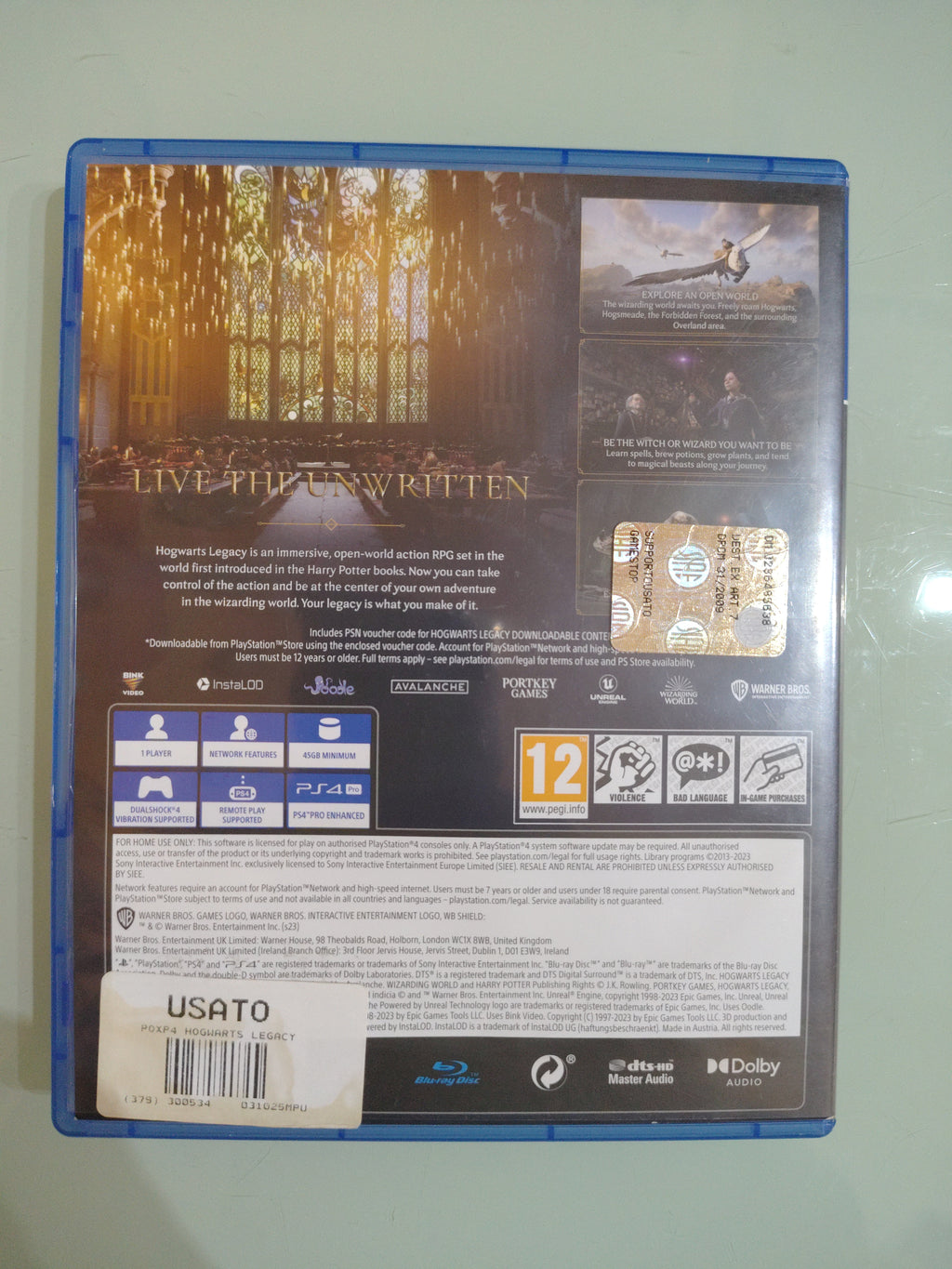 Gioco Hogwarts Legacy
