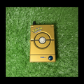 Pokédex Deluxe Pokemon  Tiger  2001 Nintendo Pokémon