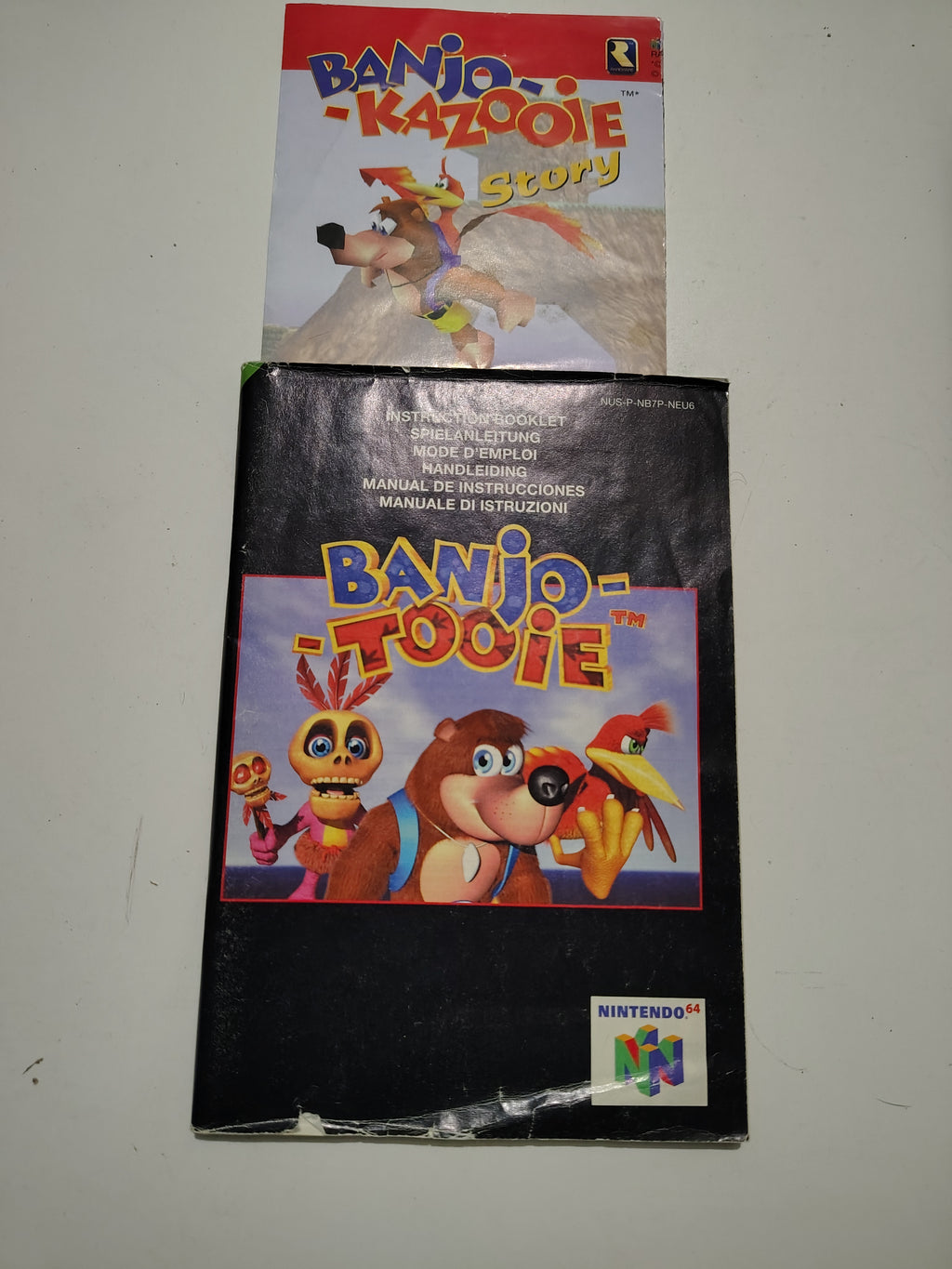 BANJO TOOIE PAL