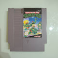 Teenage Mutant Hero PAL ita