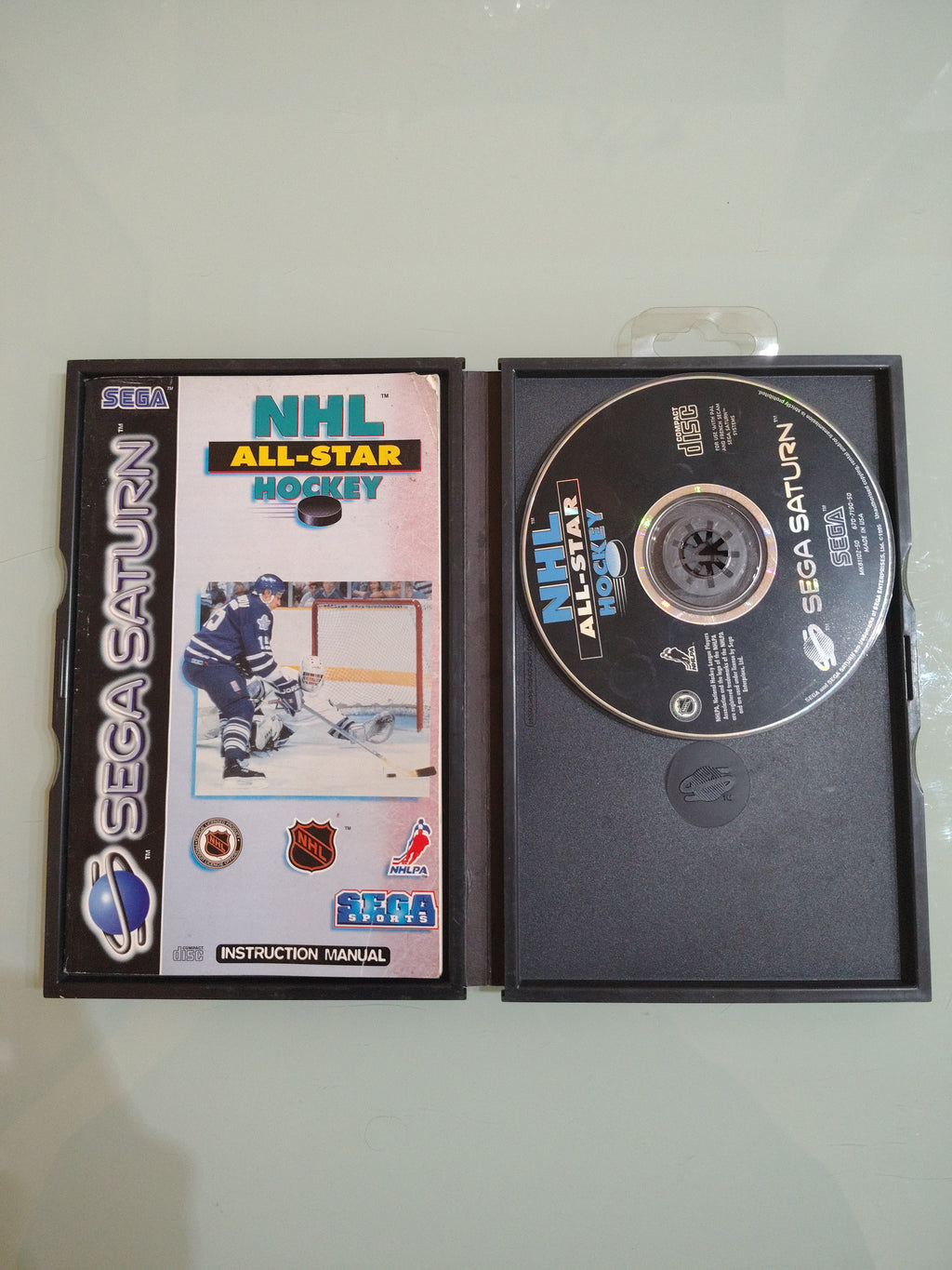 NHL ALL-STAR HOCKEY PAL