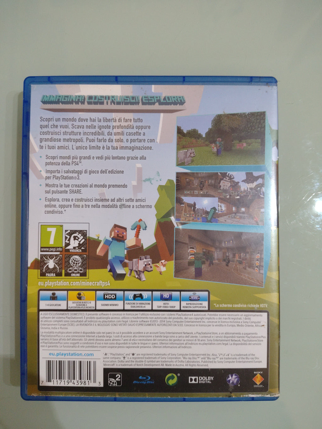 Minecraft edition
