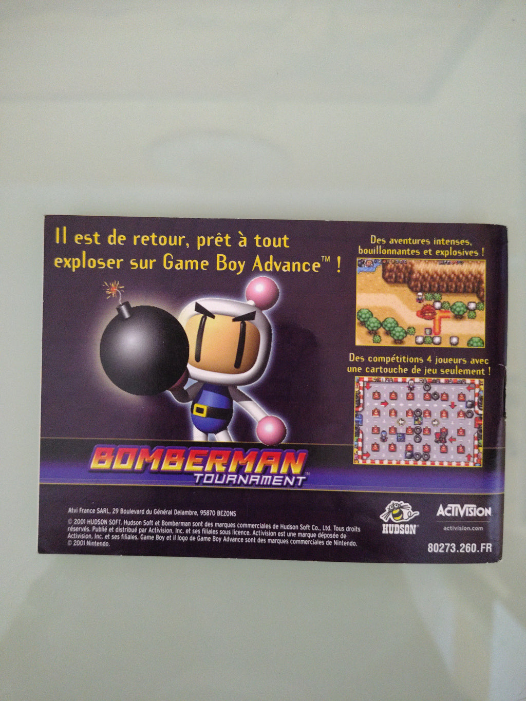 Pinobee: Wings of Adventure ( manuale )