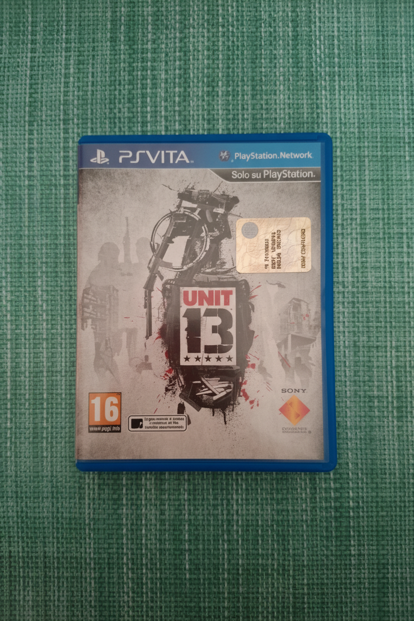 Unit 13 PAL