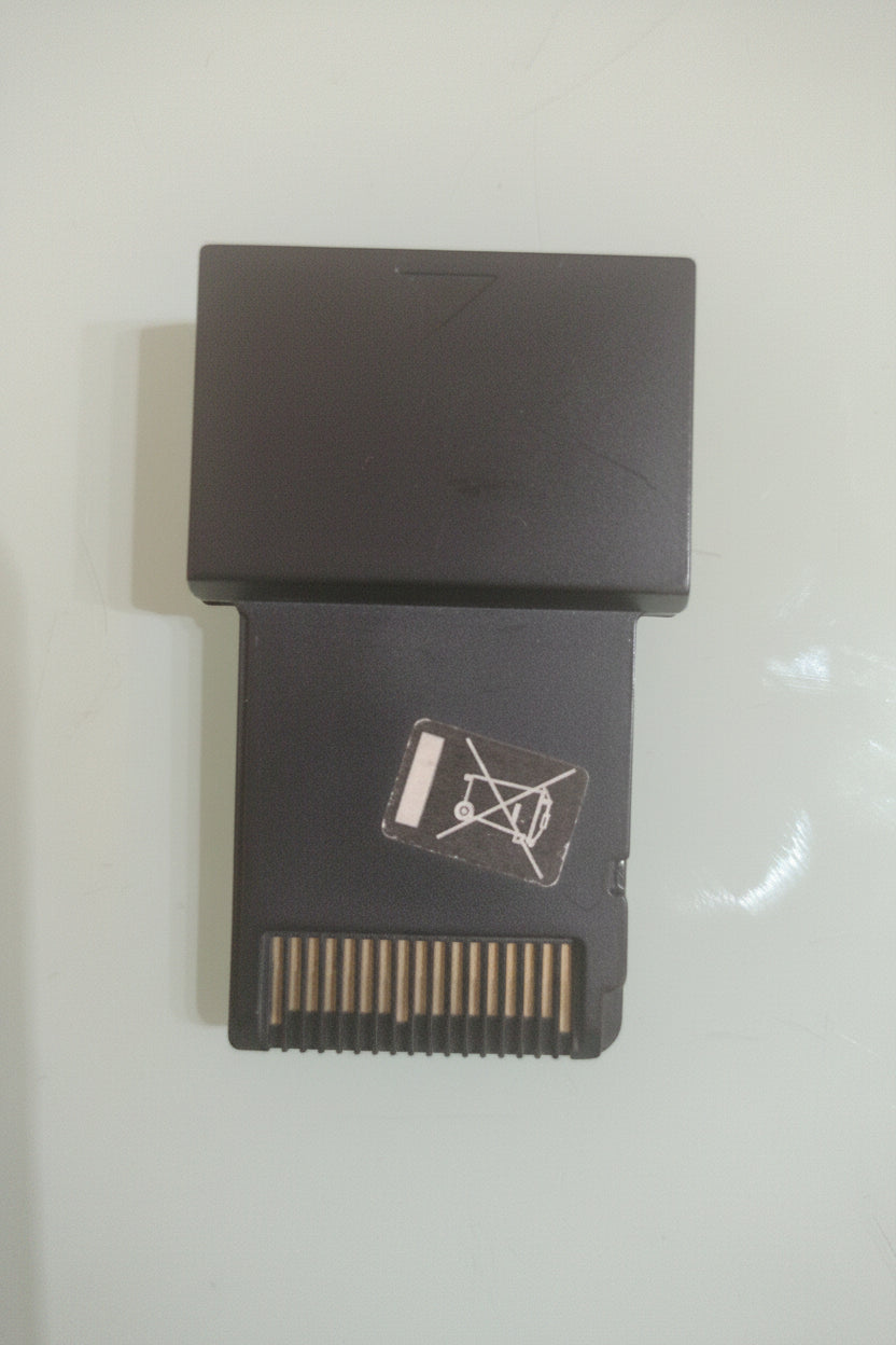 Action Replay Pokemon DSi NINTENDO DS