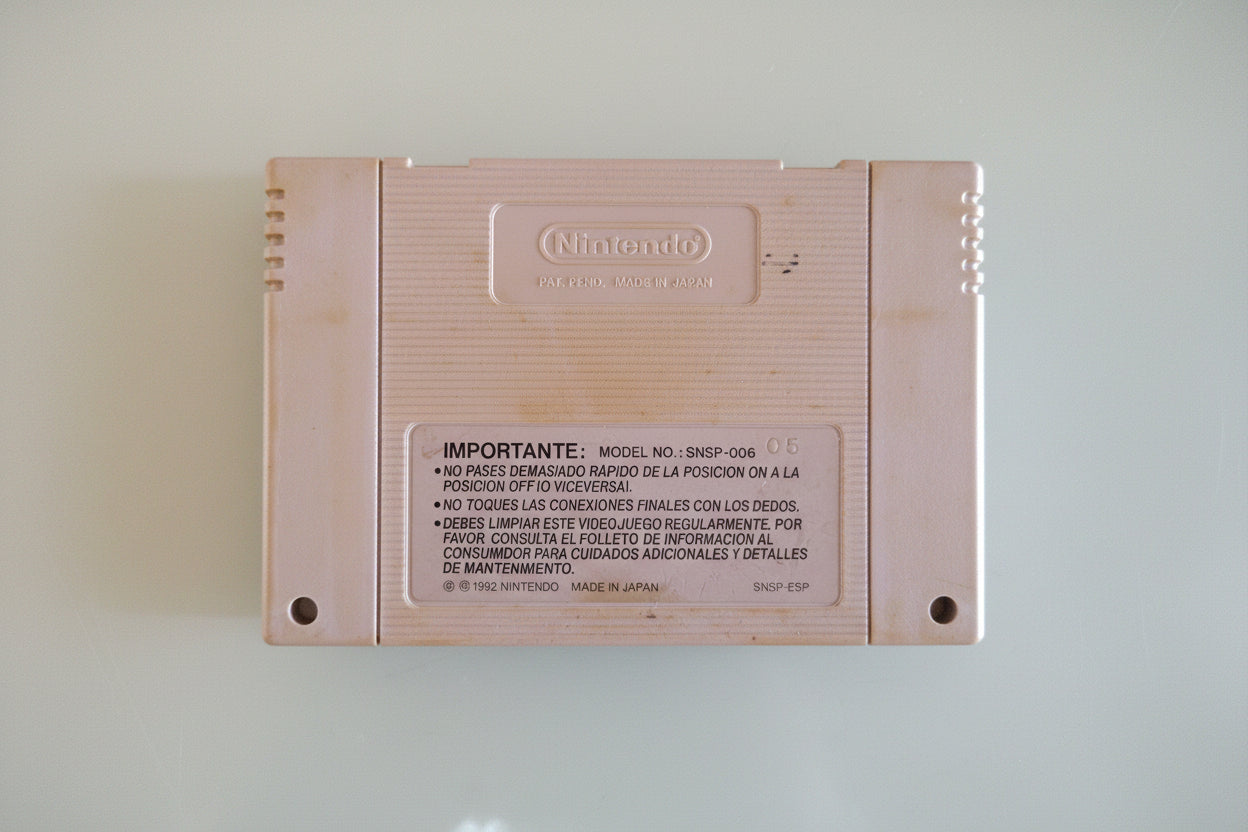 Street fighter 2 pal