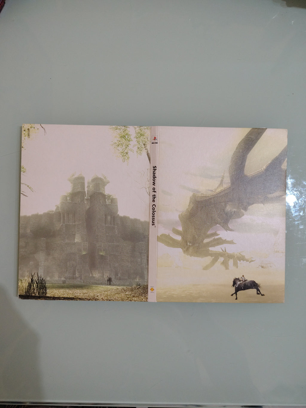 Shadow Of The Colossus Playstation 2