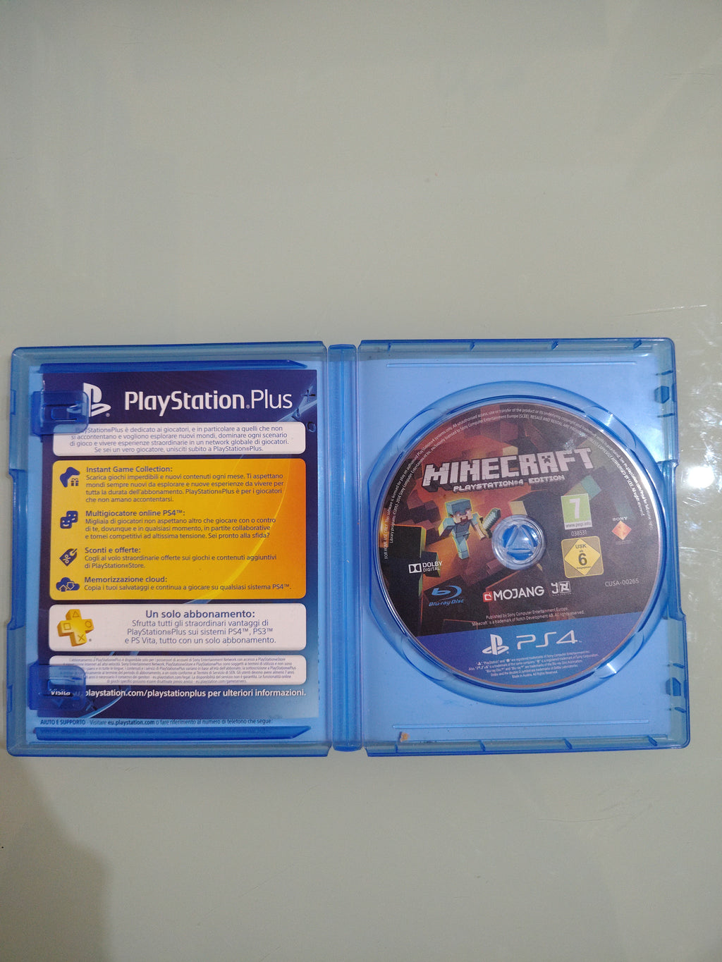 Minecraft edition