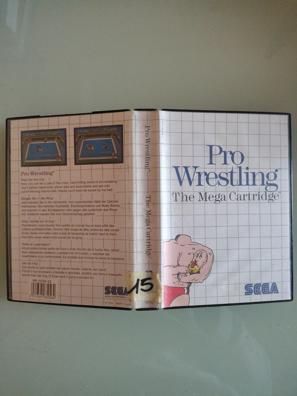 PRO WRESTLING