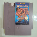 Tecmo World Wrestling