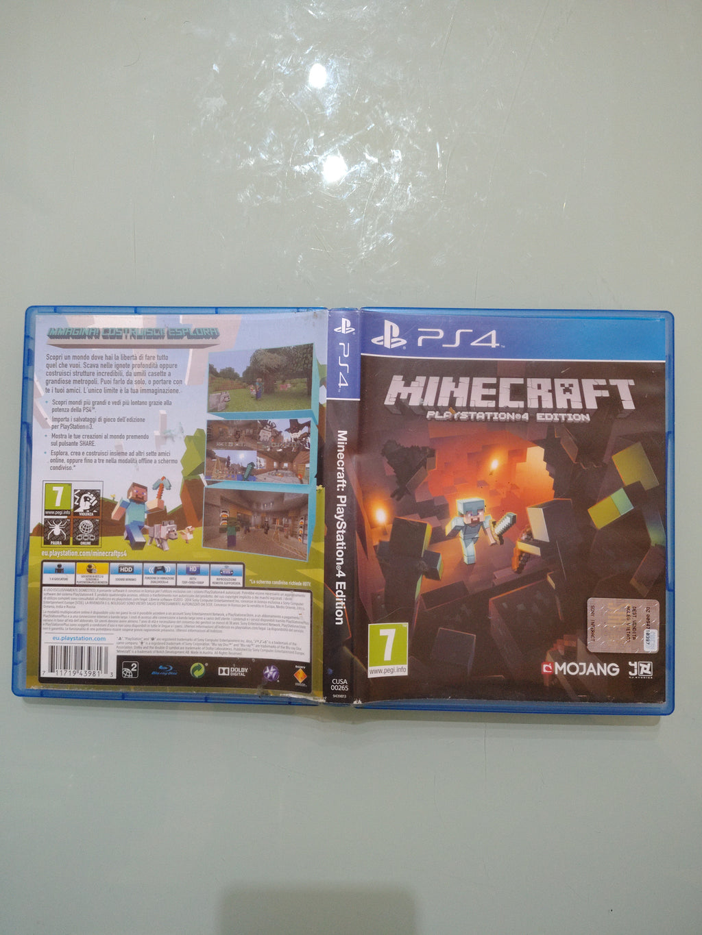 Minecraft edition